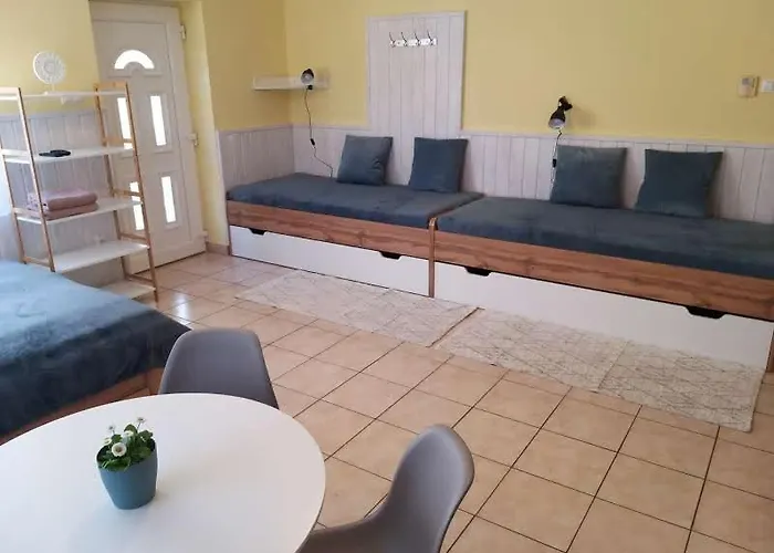 Bellis - * Szilvásvárad